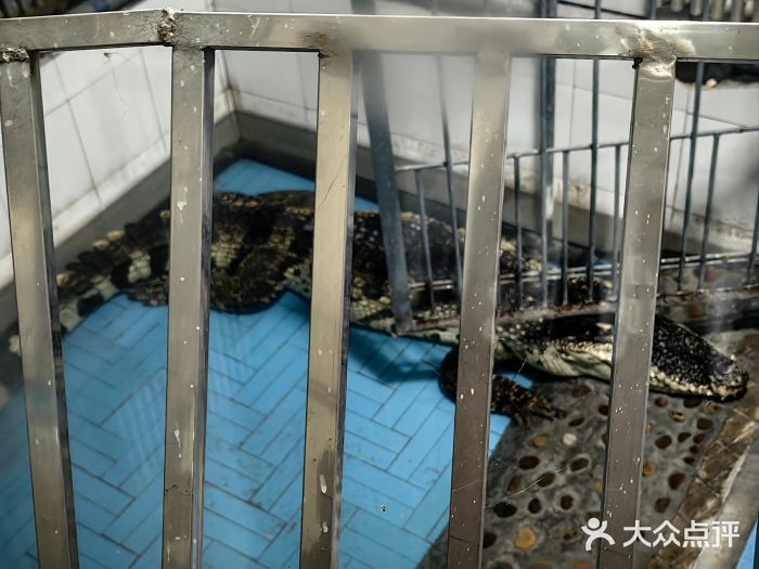 郑州市动物园图片