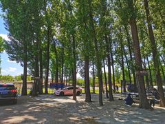 -荣德灶台鱼(圣泉寺店)