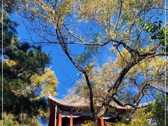 -北山公园