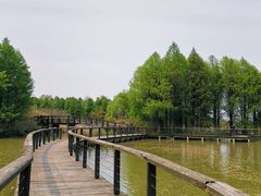 -苏州太湖国家湿地公园