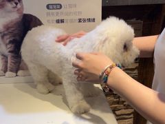 -宠颐生斯嘉宠物医院·急重症·心内科(谷阳北路分院)