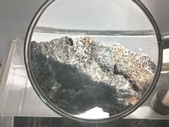 -中国地质博物馆