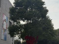 -浦江城市生活广场(江月路店)