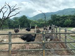 -西安秦岭野生动物园