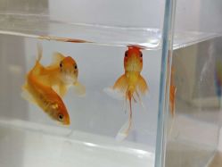 -春田皮肤管理中心品牌旗舰店