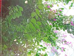 -老灶房-四川土菜(开元店)