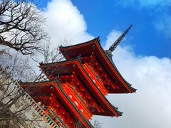 -有栖山 清光院 清水寺