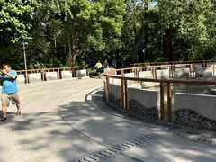 -成都市活水公园