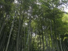 -浙北大厦购物中心(安吉店)