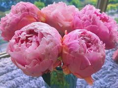 -双季花艺园艺市场(浦东店)