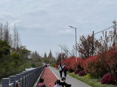 -上海长兴岛郊野公园