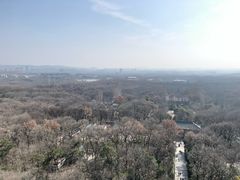 -灵谷景区