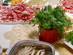 -清真军邺·金富苑肥牛(石坡街旗舰店)