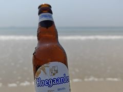 -西涌国际滨海旅游区