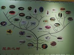 -上海昆虫博物馆