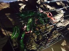 -阿布扎比沙漠皇宫酒店水疗中心