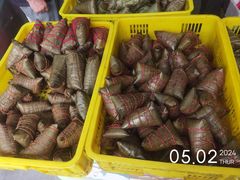 -召稼楼永茂昌粽子大王