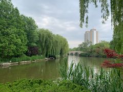 -济南大明湖景区