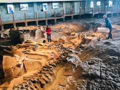 -自贡恐龙博物馆