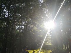 -白水寺森林公园
