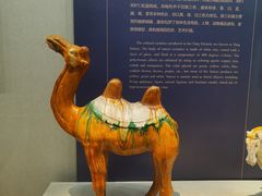 -镇江博物馆