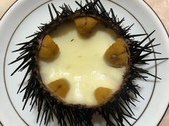 海胆蒸蛋-宾朋海鲜美食餐厅·特色美食(兴海路店)