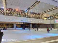 -TheRink大零溜冰场(IFS国金中心店)