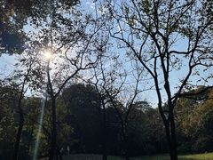 -杭州植物园
