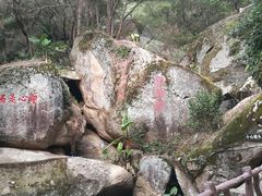 -青芝山风景名胜区