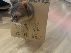 -NRG健身私教CLUB(打浦桥店)