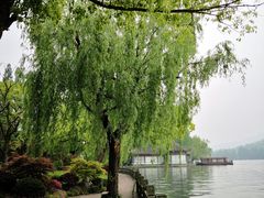 -杭州西湖柳莺里酒店·闻莺厅