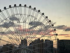 -弘阳·未来世界(弘阳广场店)