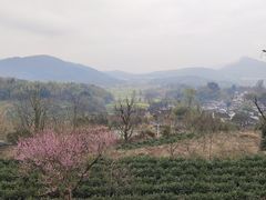 -塔川景区