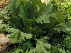 -王婆炒鱼(总店)