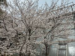 -无锡梅园公园