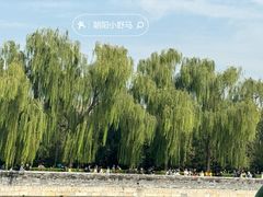 -北京市劳动人民文化宫(太庙)