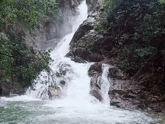 -九龙江国家森林公园