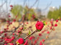 -太阳宫公园