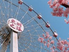 -东湖磨山景区
