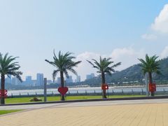 -野狸岛