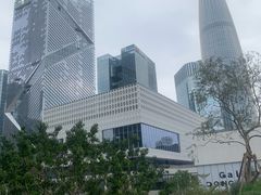 -深圳湾万象城(南山店)