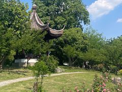 -鹅湖玫瑰文化园