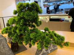 -沈大成(南京东路店)