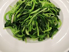 清炒鸡毛菜-朝郡酒家·粤菜(燕大星苑店)