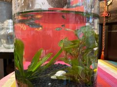 -花满楼(启秀路店)