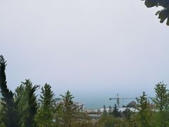 -东方熊牧场