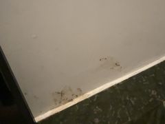 -禧悦汤泉(万兴店)