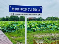 -梁鸿国家湿地公园