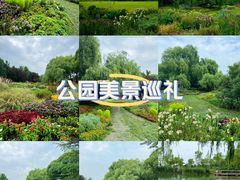 -海淀公园