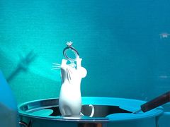 -Tiffany & Co.蒂芙尼
(天津万象城店)